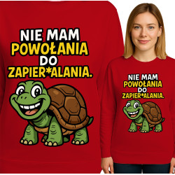Funny Turtle Sweatshirt
