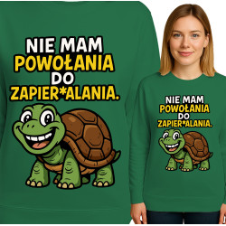 Funny Turtle Sweatshirt