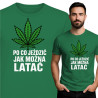 zielony