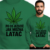 zielony