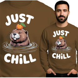 Bluza męska 'Just Chill'