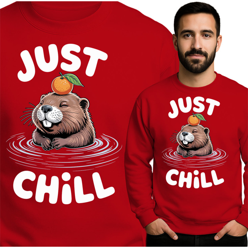 Bluza męska 'Just Chill'