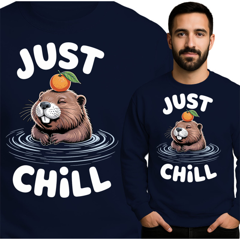 Bluza męska 'Just Chill'