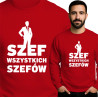 czerwony