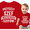 czerwony