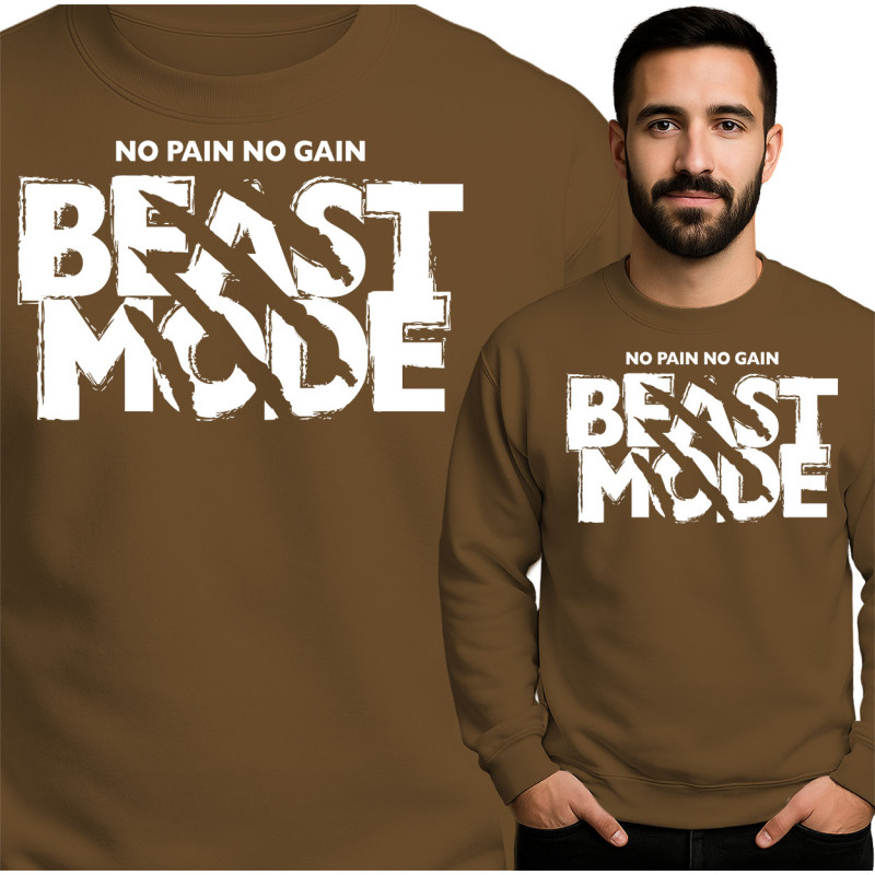 Beast Mode Sweatshirt - No Pain No Gain