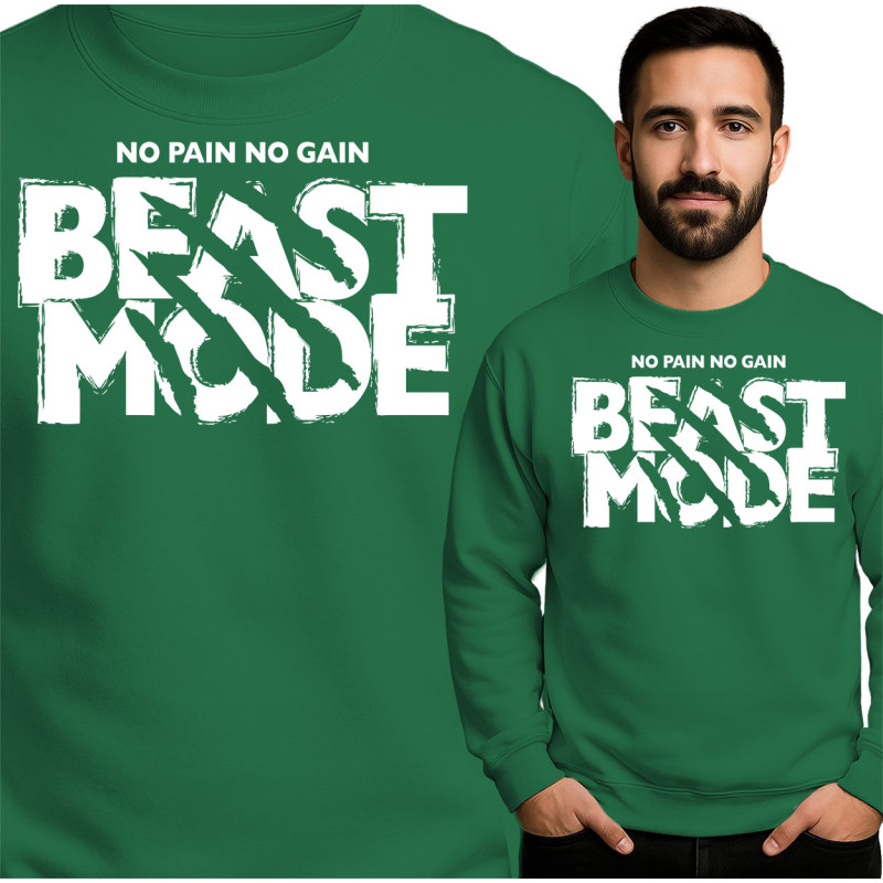 Beast Mode Sweatshirt - No Pain No Gain