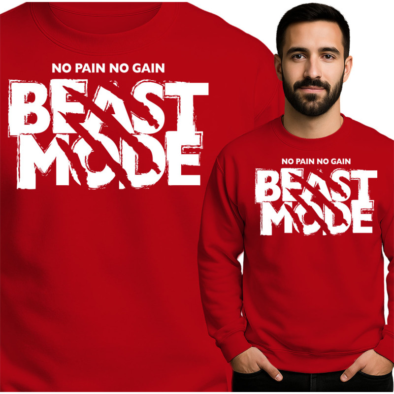 Beast Mode Sweatshirt - No Pain No Gain