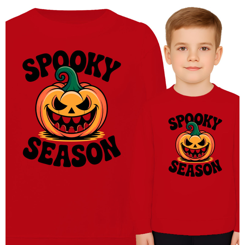 copy of Bluza dziecięca \'TAK WYGLĄDA MISTRZ LEGO\'