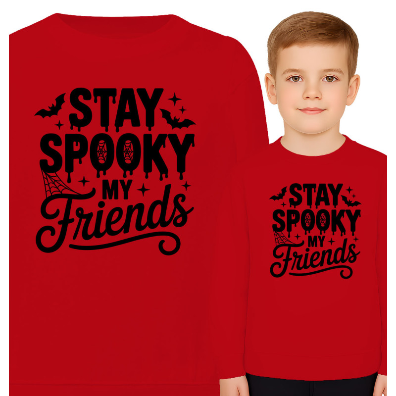 copy of Bluza dziecięca \'TAK WYGLĄDA MISTRZ LEGO\'
