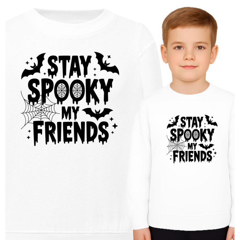copy of Bluza dziecięca \'TAK WYGLĄDA MISTRZ LEGO\'