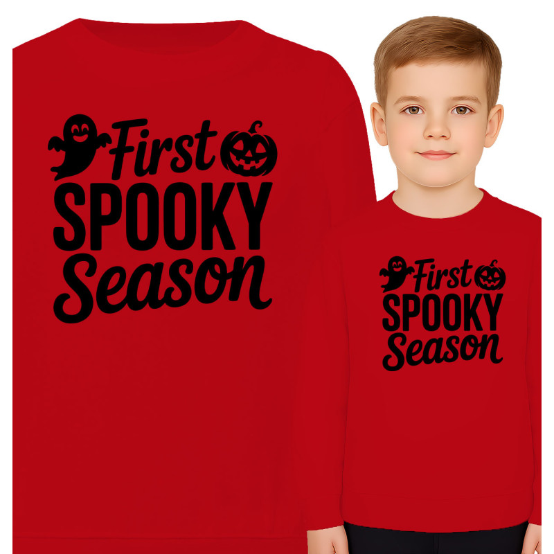 copy of Bluza dziecięca \'TAK WYGLĄDA MISTRZ LEGO\'