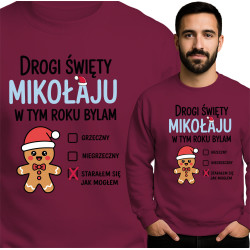 copy of Bluza męska 'Shine...