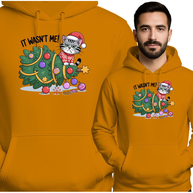 copy of Shine Bright Hoodie