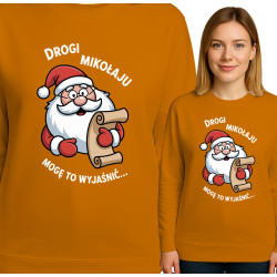 copy of Shine Bright Sweater