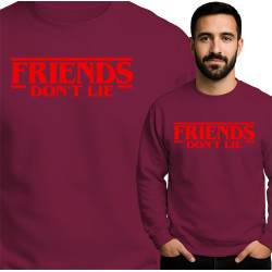 Bluza męska 'Friends Don't Lie