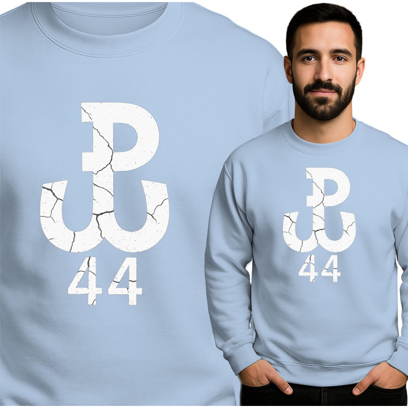 Bluza męska 'pękniętym logo.'