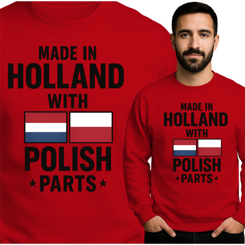 Bluza męska 'Made in Holland'